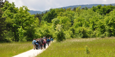 Heidespaziergang im Rahmen des «Festival der Natur»