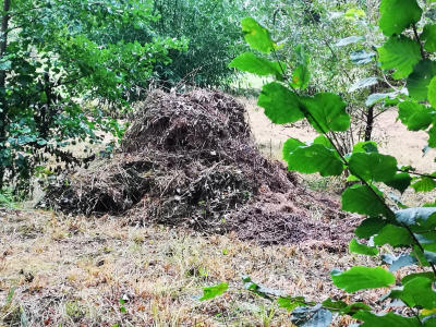 Zugepackt! Pflegearbeiten im Naturschutzgebiet Buechloch Zugepackt! Pflegearbeiten im Naturschutzgebiet Buechloch