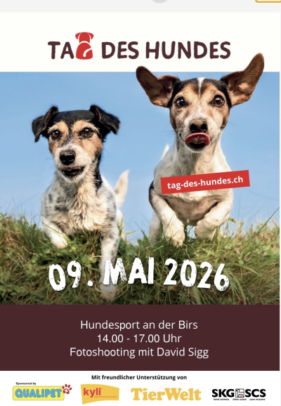 Tag des Hundes