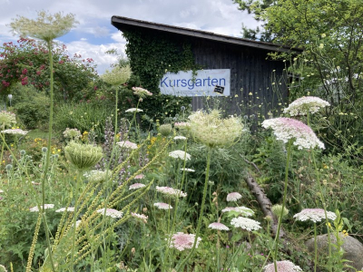 Biodiversität fördern im Hausgarten Biodiversität fördern im Hausgarten