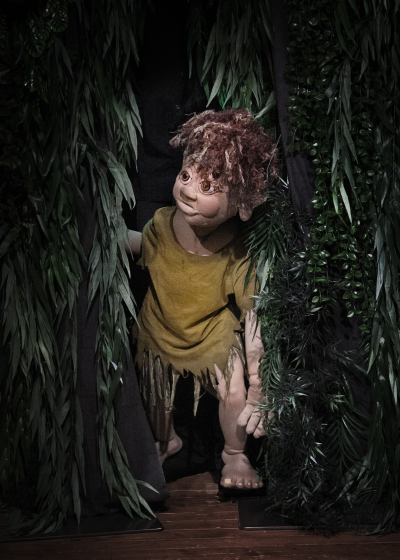 Muggli, dr Waldtroll Muggli, dr Waldtroll