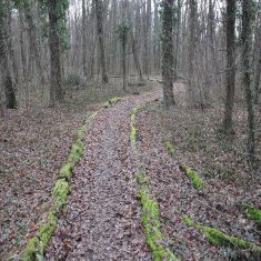 Finnenbahn