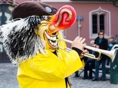 Fasnacht Reinach