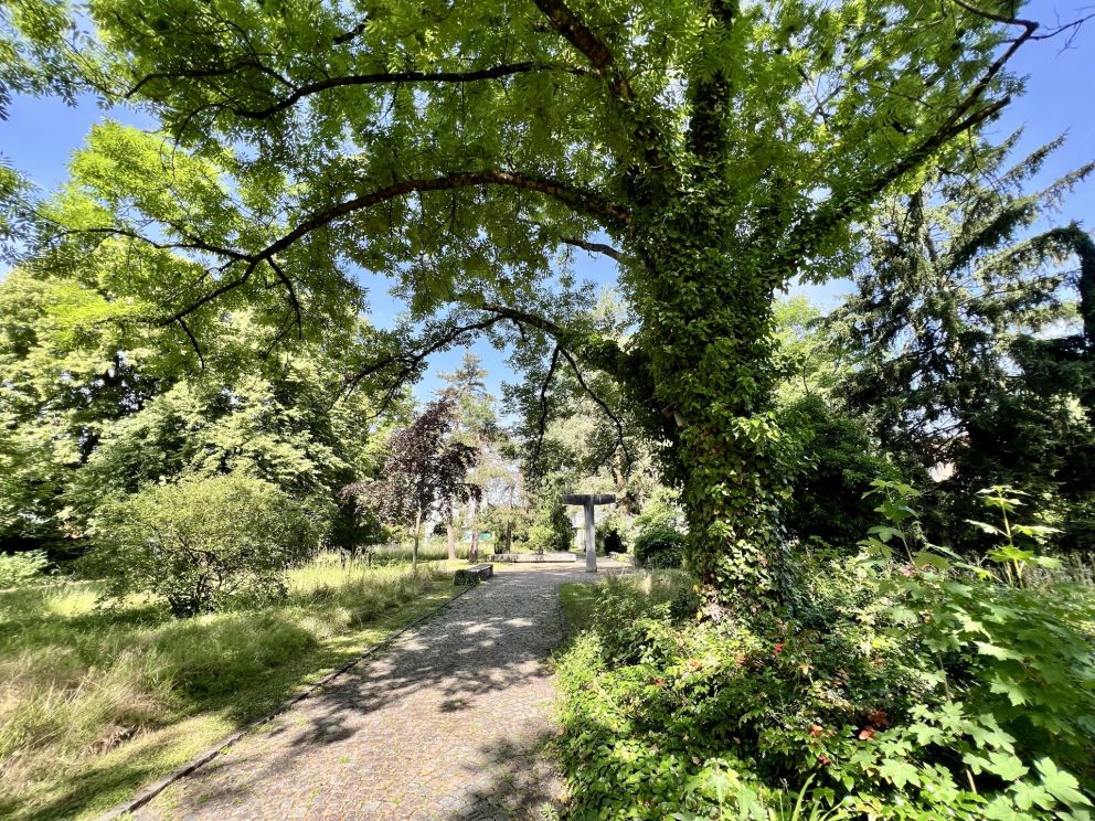 Vom Dorffriedhof zum Stadtpark: die Umgestaltung kann starten