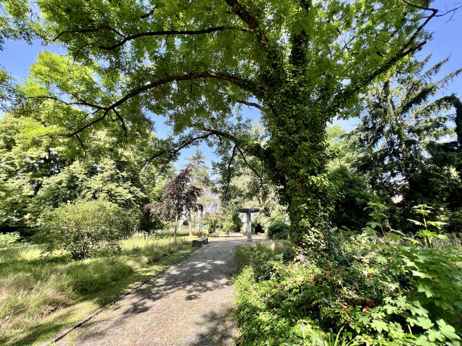 Grüne Oase mitten in Reinach – der künftige Stadtpark. Foto: Gemeinde Reinach