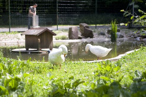 Tierpark